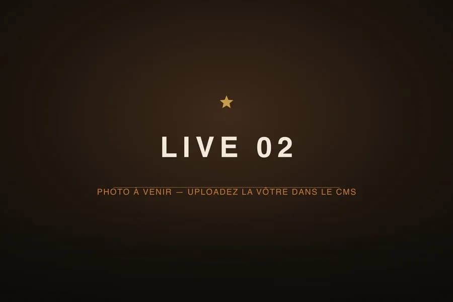Le trio en concert — photo 2 (image provisoire)