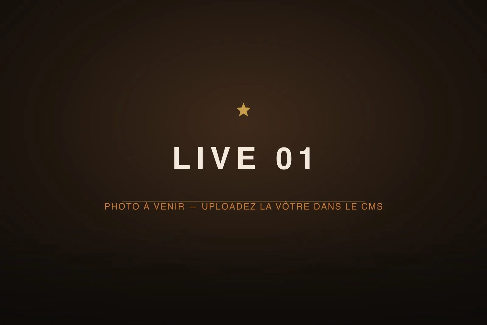 Le trio en concert — photo 1 (image provisoire)