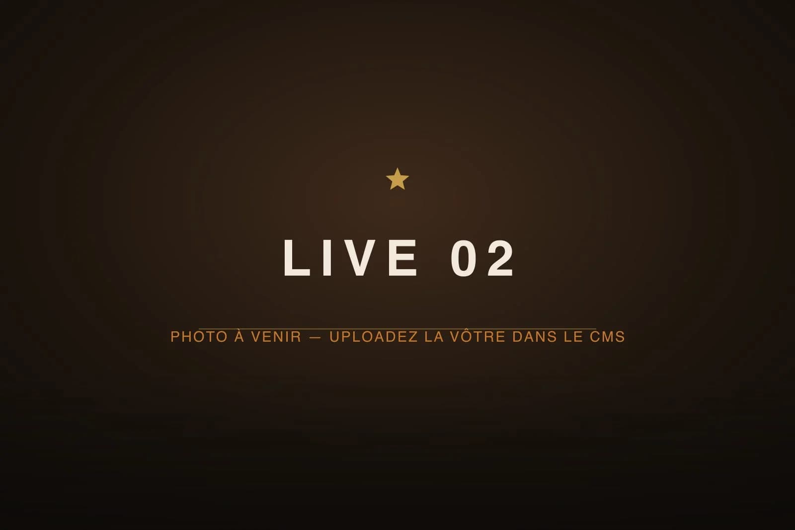 Le trio en concert — photo 2 (image provisoire)